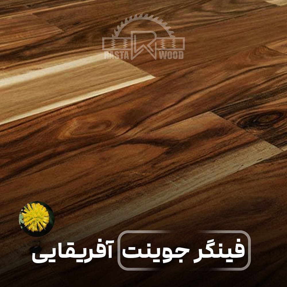 پانل فینگر جوینت آفریقایی (آکاسیا)