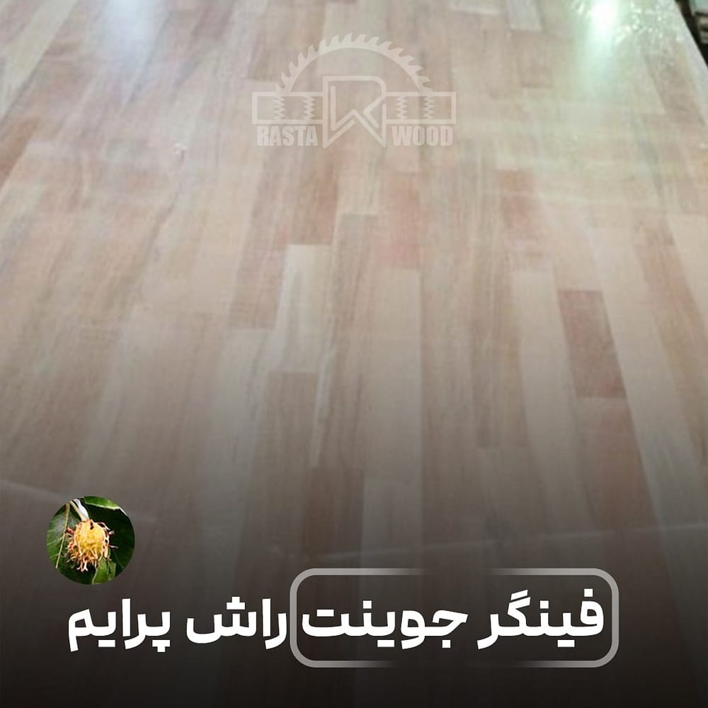 پانل فینگر جوینت پرایم روسی