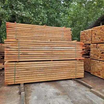 6 تفاوت اصلی چوب توسکا و راش در ویژگیها و کاربردها 3 تفاوت های چوب توسکا و راش