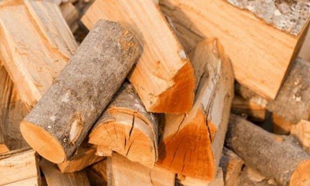 6 تفاوت اصلی چوب توسکا و راش در ویژگیها و کاربردها 5 چوب راش یا توسکا ؟