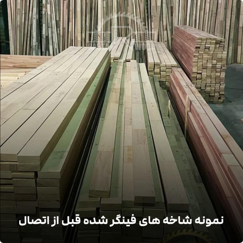 پانل فینگر جوینت فنلاندی (راش سفید فنلاندی) 12 پانل فینگر جوینت فنلاندی (راش سفید فنلاندی) - Image 12